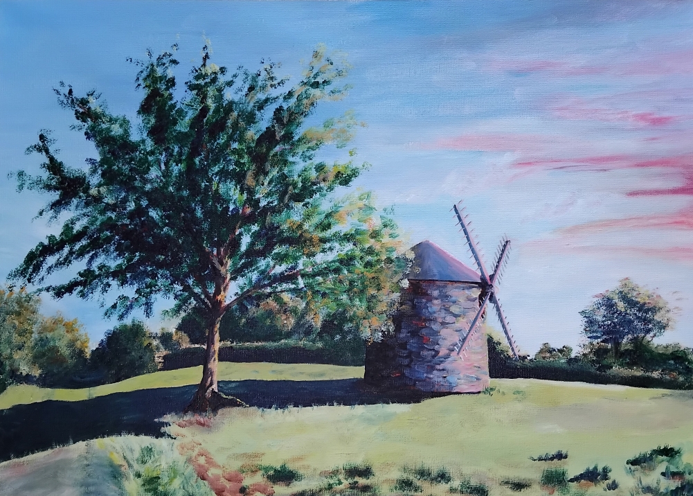 Matin rose sur le Moulin à Vent